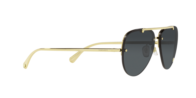 Versace VE2231 100287