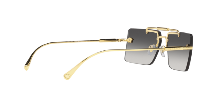 Versace VE2245 10028G