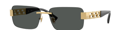Versace VE2298 100287