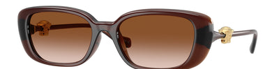Versace VE4504D 533213