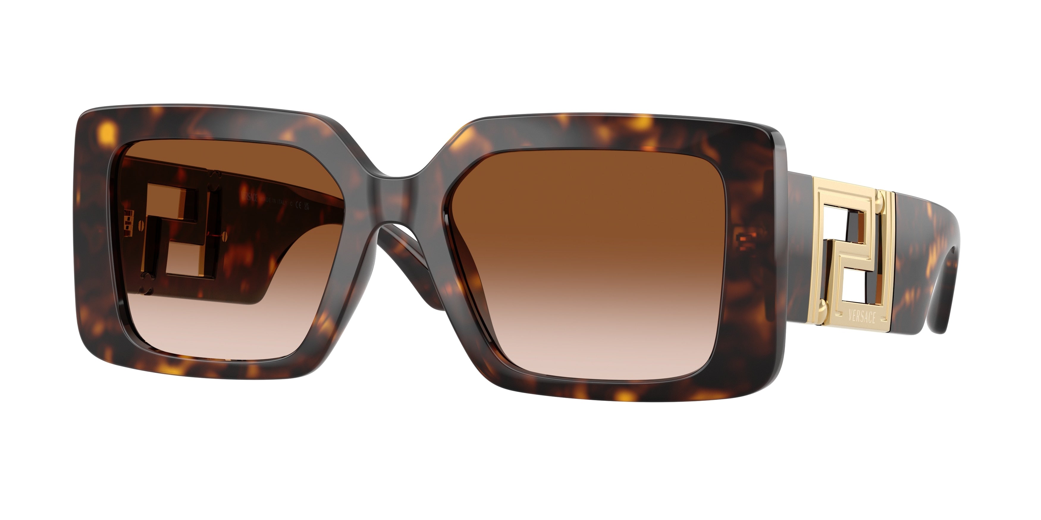 Versace VE4505U 108/13