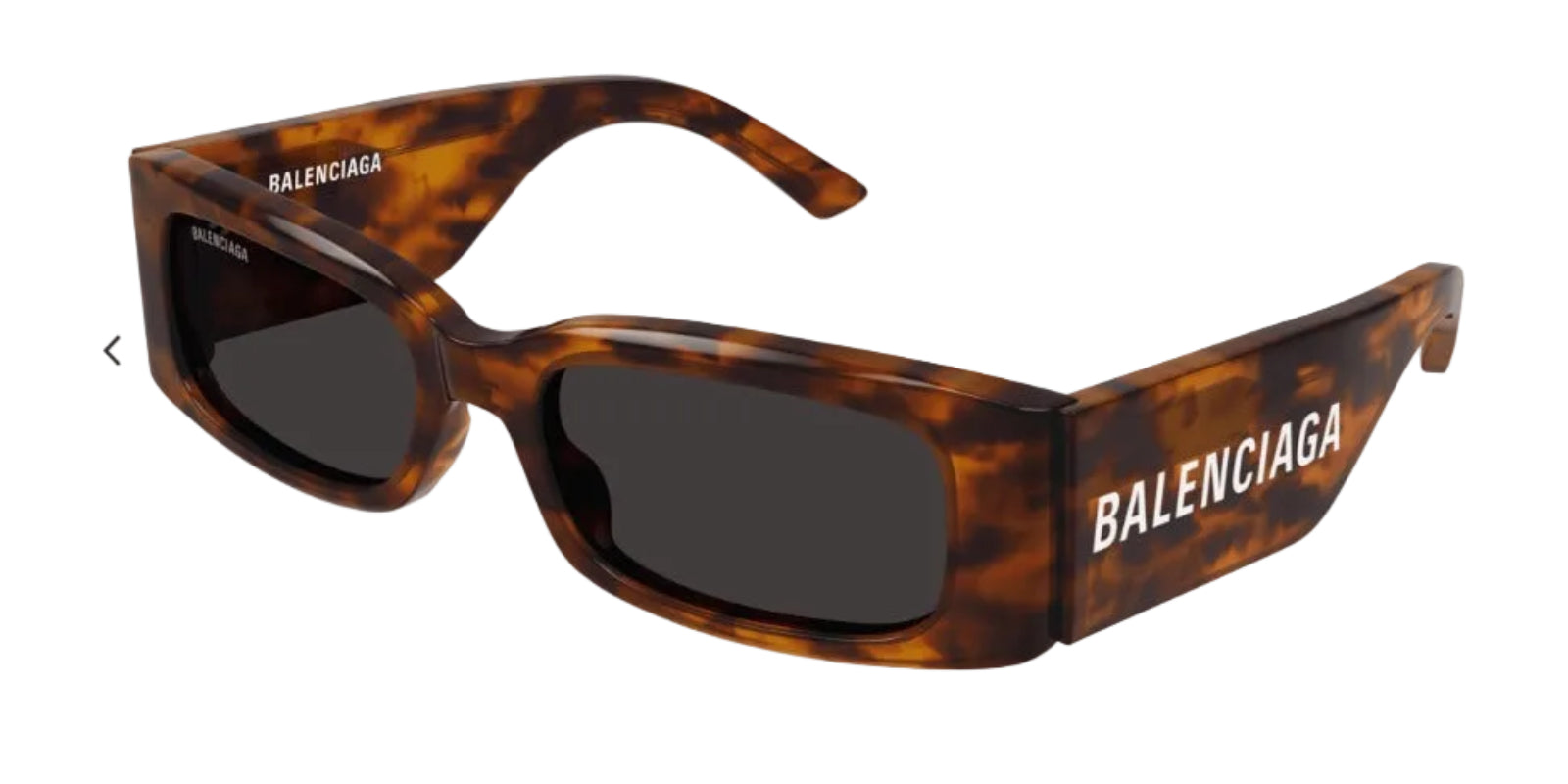 Balenciaga BB0260S 007