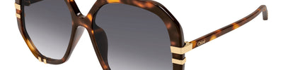 CHLOÈ CH0105S 007 - Brown/Havana Acetate