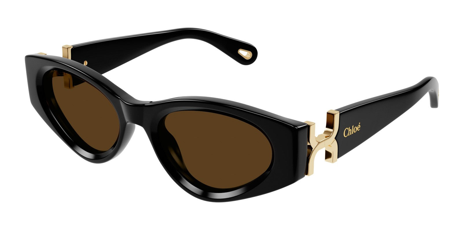 CHLOÈ CH0259S 001 - Black Acetate