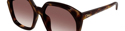 CHLOÈ CH0280S 006 - Brown/Havana Acetate