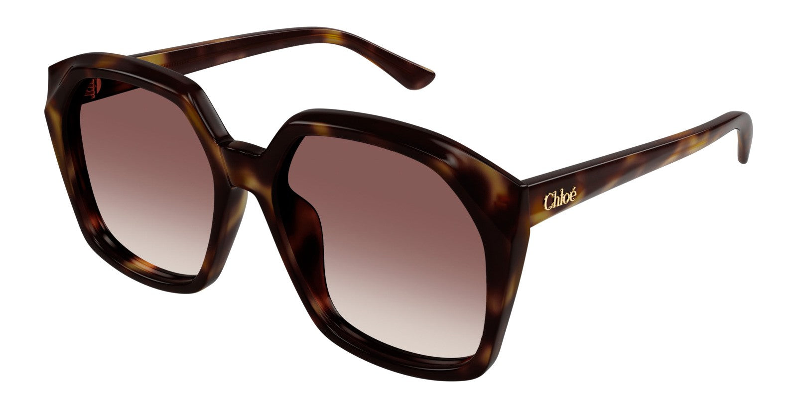 CHLOÈ CH0280S 006 - Brown/Havana Acetate