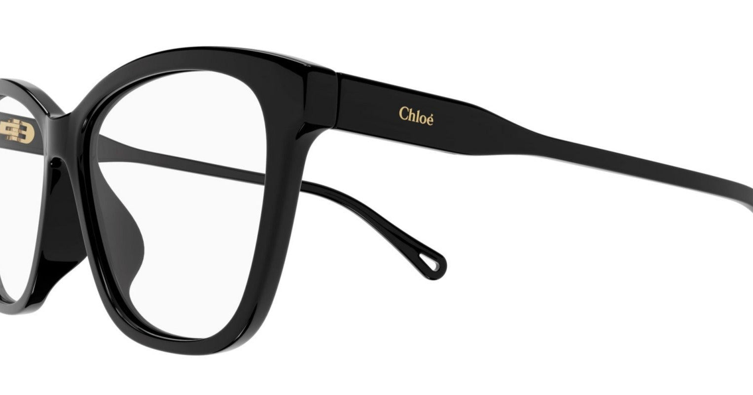 CHLOÉ CH0084O 001