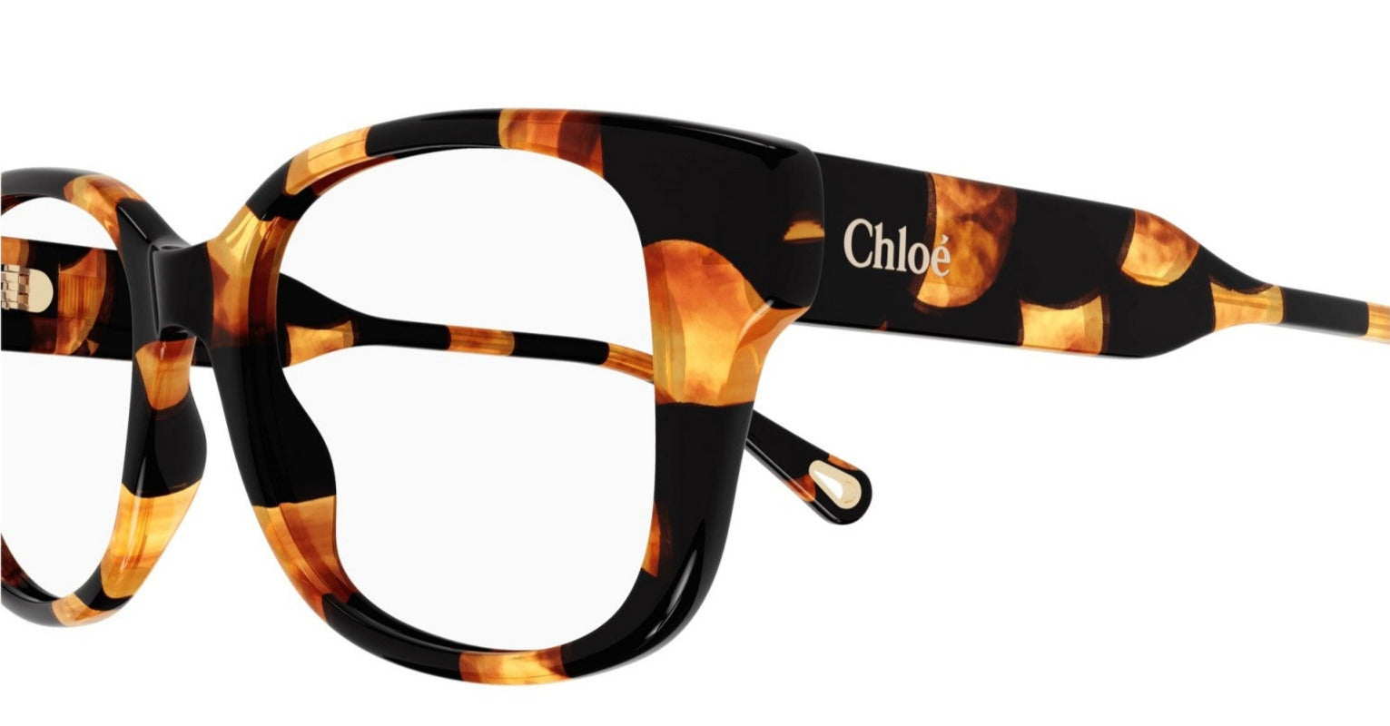 CHLOÉ CH0198O 003