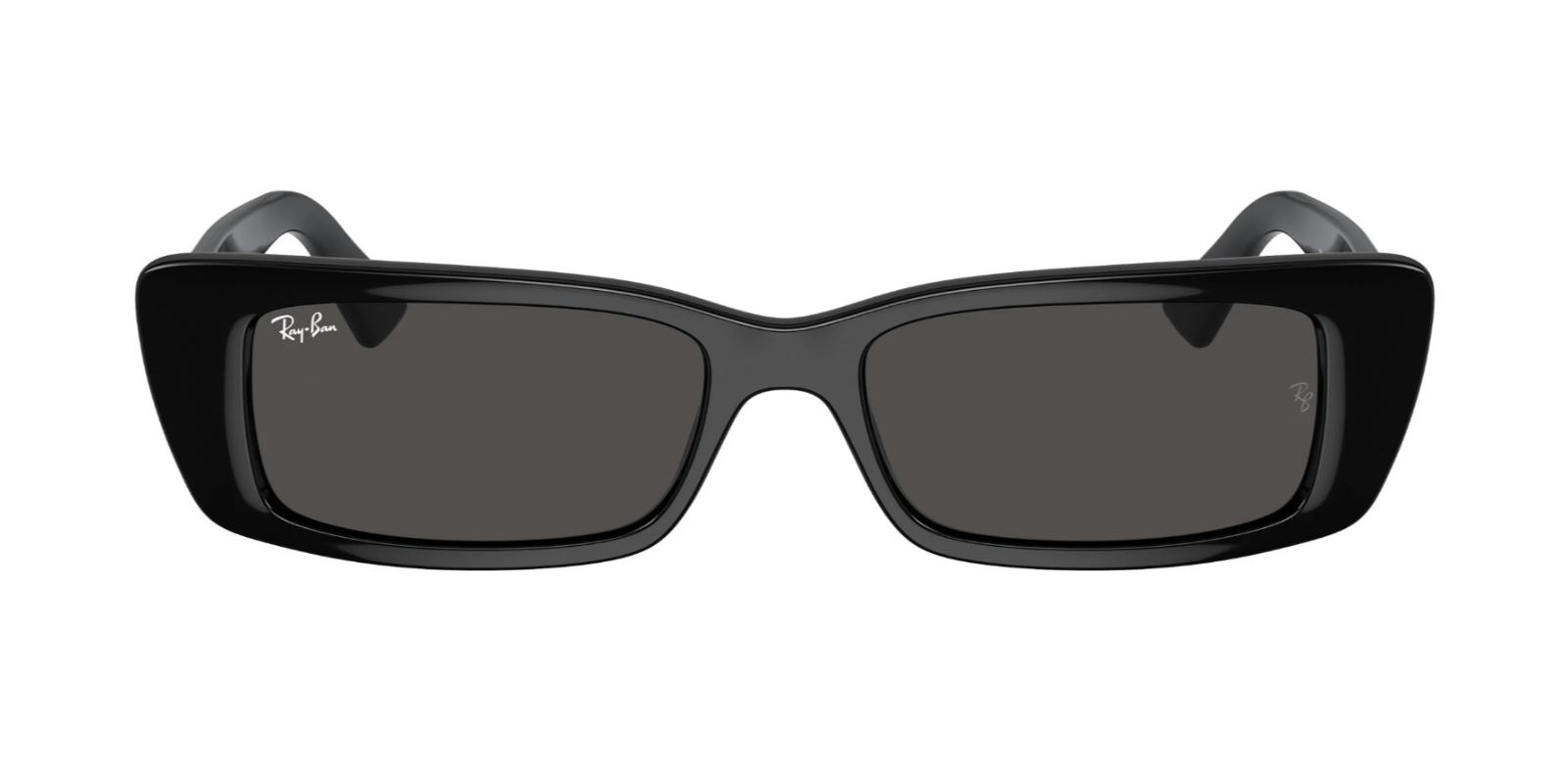 Ray-Ban TERU RB4425 667787