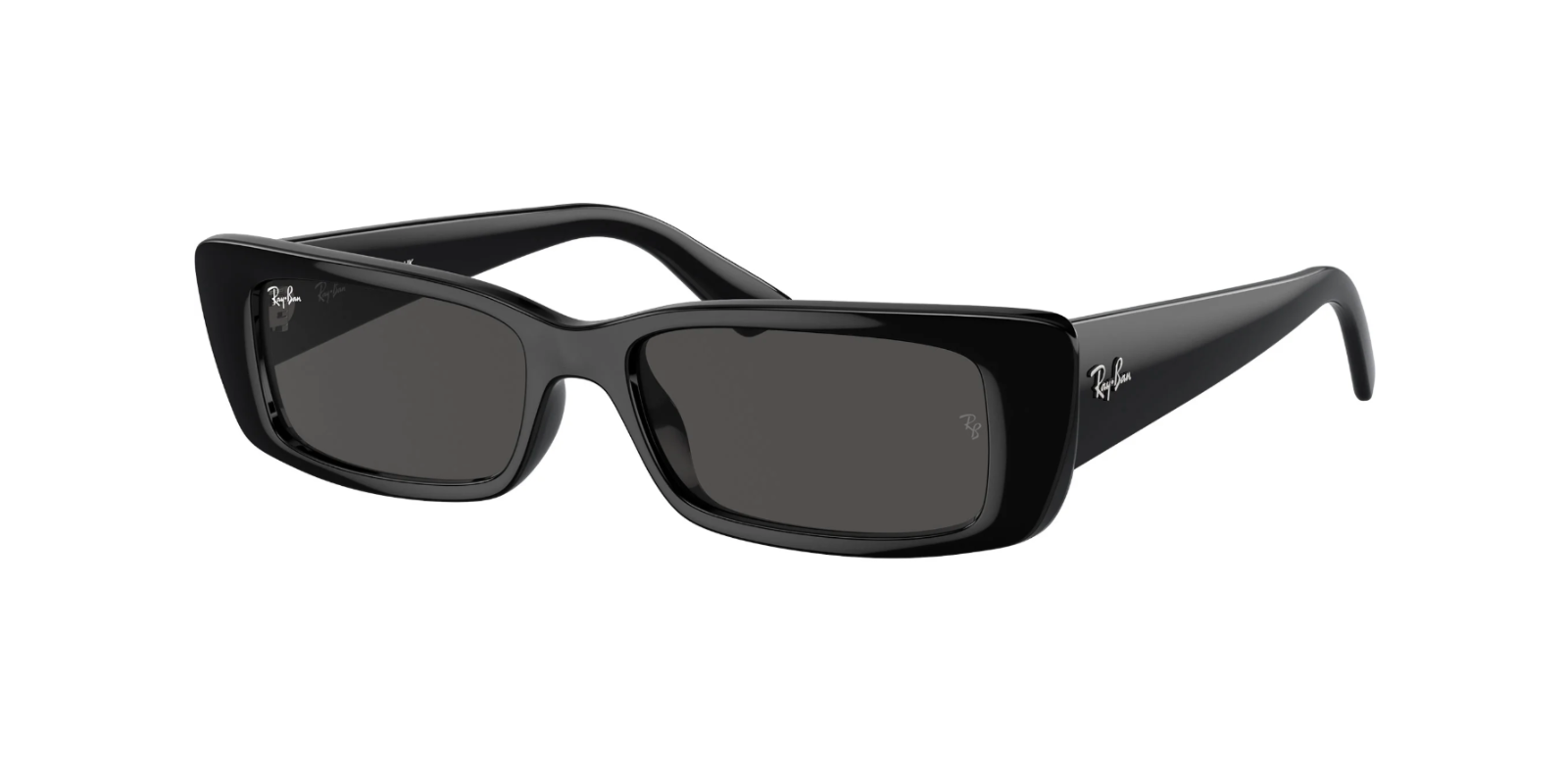 Ray-Ban TERU RB4425 667787