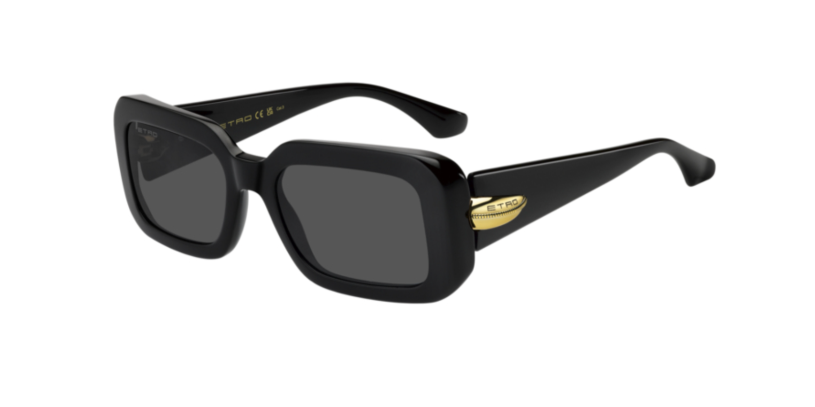 ETRO 0132/S 807IR