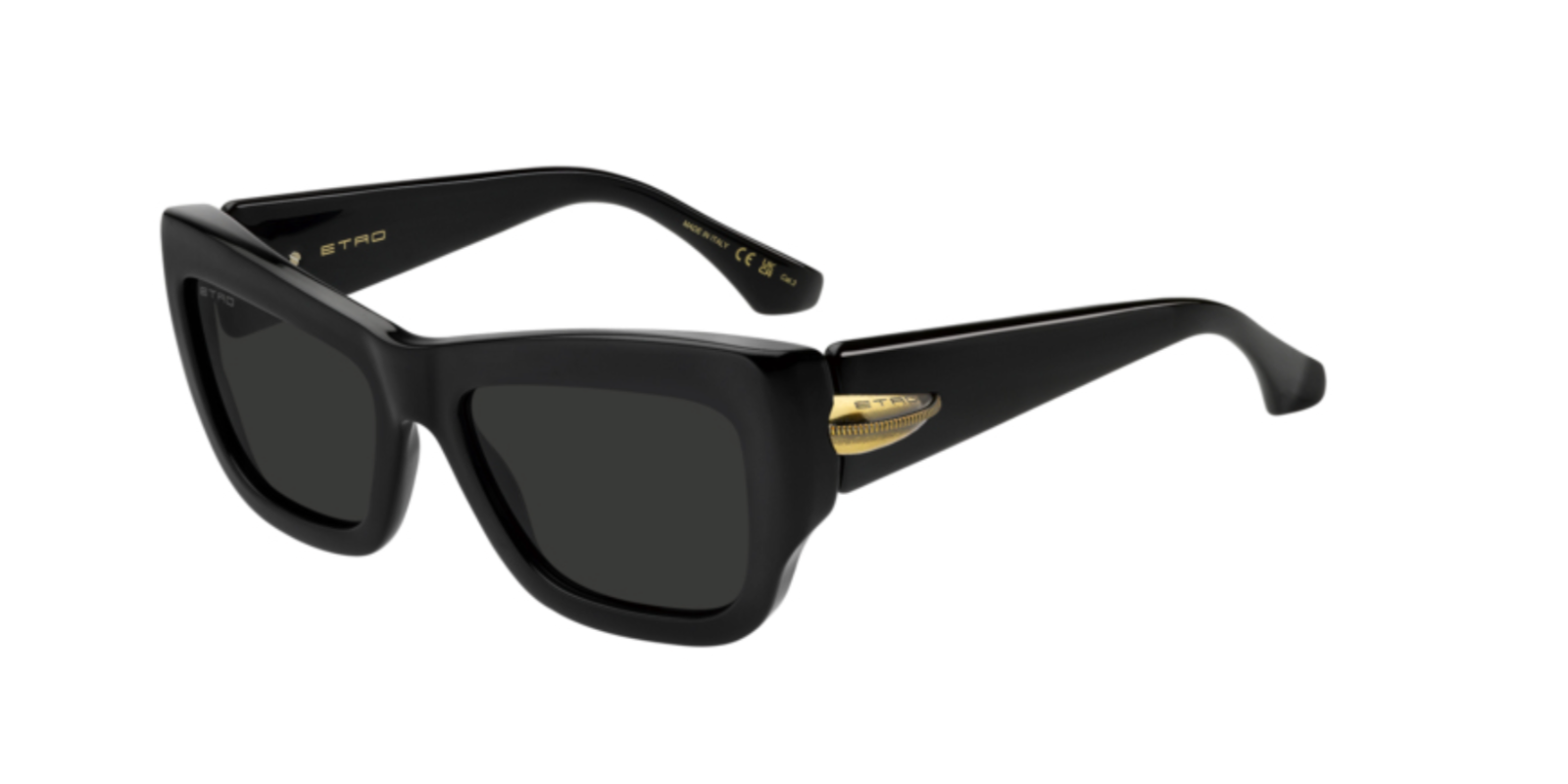 ETRO 0121/S 807IR