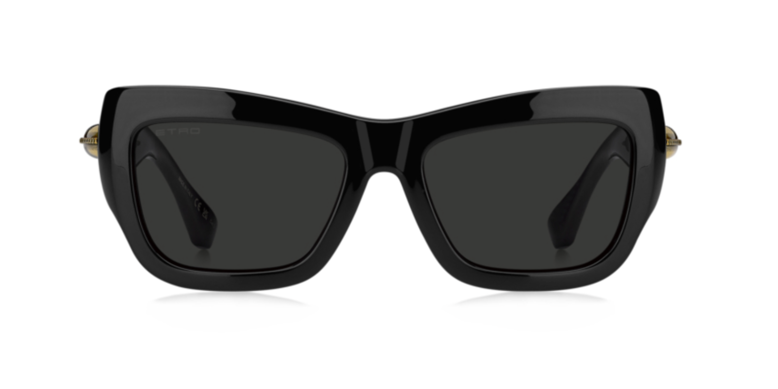 ETRO 0121/S 807IR