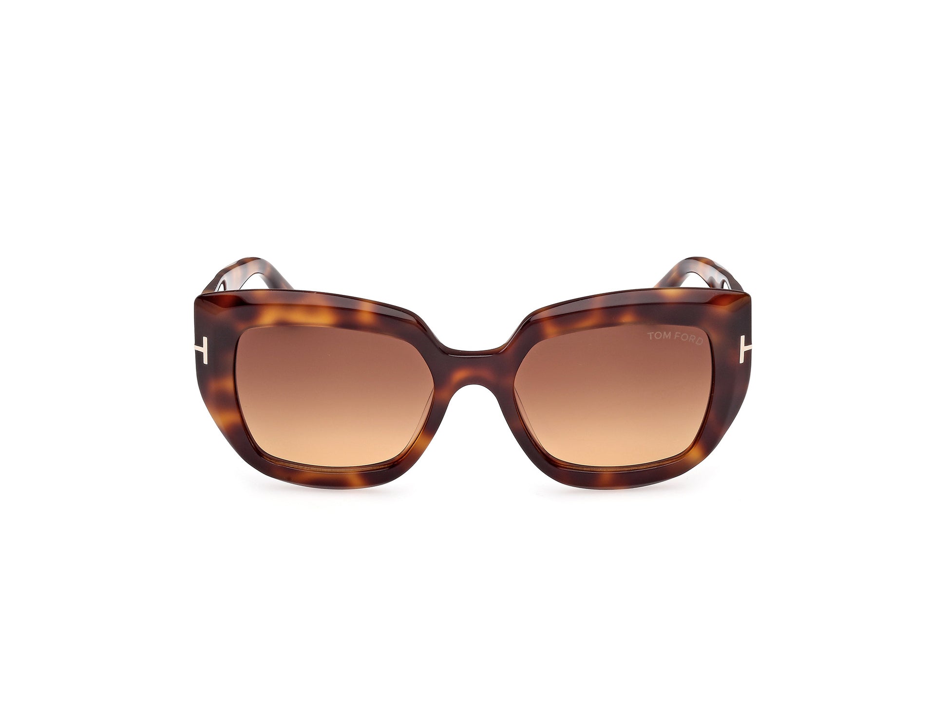 Tom Ford SALTZMAN FT1192 53F