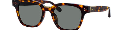 LINDA FARROW SANCHEZ LFL1481 C5 - Brown/Havana Acetate