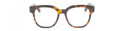 OFF-WHITE OERJ07O 6000 - Brown/Havana Acetate