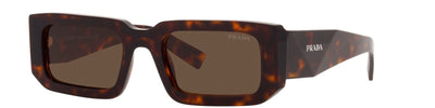 PRADA PR 06YS 2AU8C1 - Brown/Havana Acetate