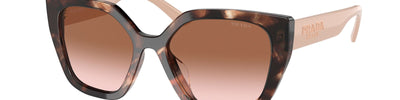 PRADA PR 24XS 07R0A6 - Brown/Havana Acetate