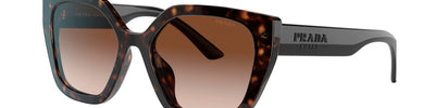 PRADA PR 24XS 2AU6S1 - Brown/Havana Acetate