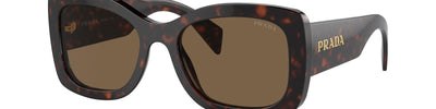 PRADA PR A08S 16N5Y1 - Brown/Havana Acetate