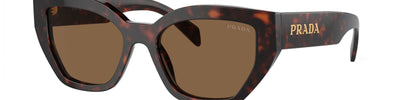 PRADA PR A09S 16N5Y1 - Brown/Havana Acetate