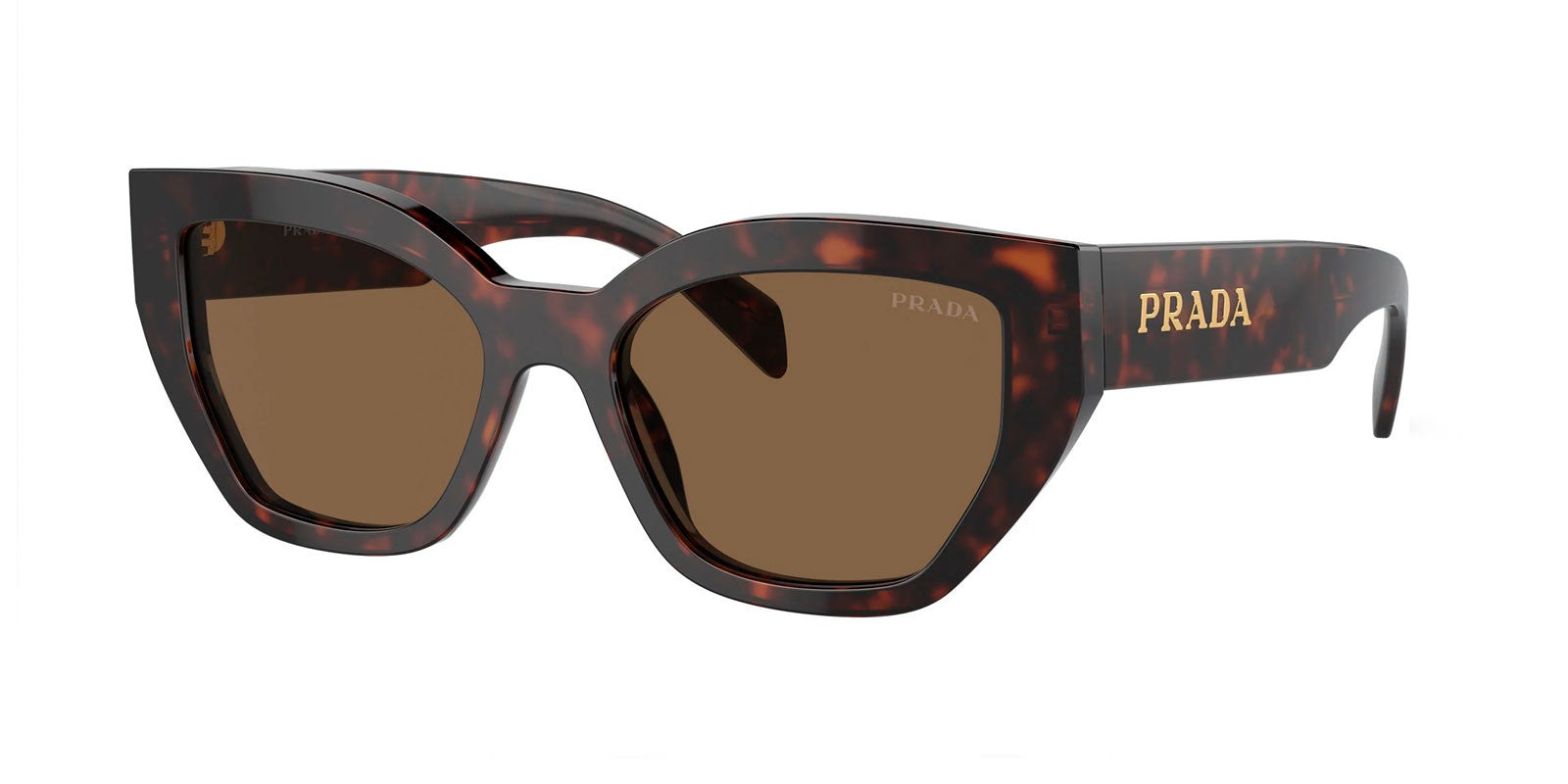 PRADA PR A09S 16N5Y1 - Brown/Havana Acetate