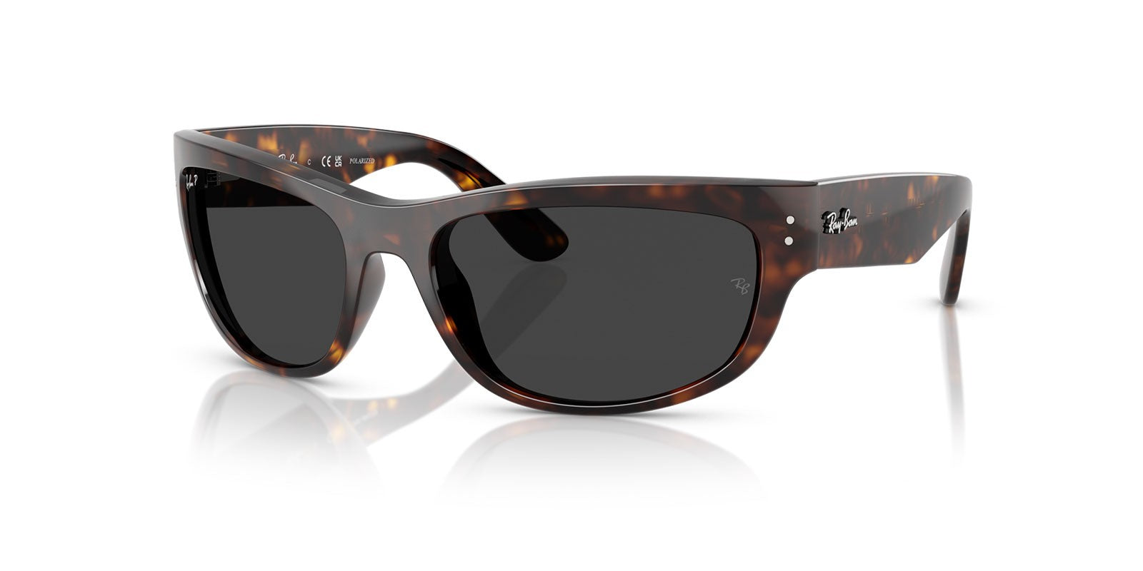 RAY-BAN MEGA BALORAMA RB2289 90248 - Brown/Havana Acetate