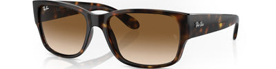 RAY-BAN RB4388 71051 - Brown/Havana Acetate