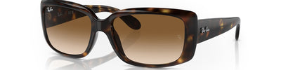 RAY-BAN RB4389 71051 - Brown/Havana Acetate