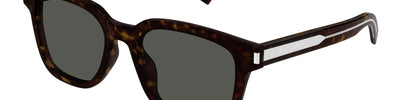 SAINT LAURENT SL 711 002 - Brown/Havana Acetate