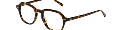 MOSCOT YENEM TORTOISE OPTICAL - Brown/Havana Acetate