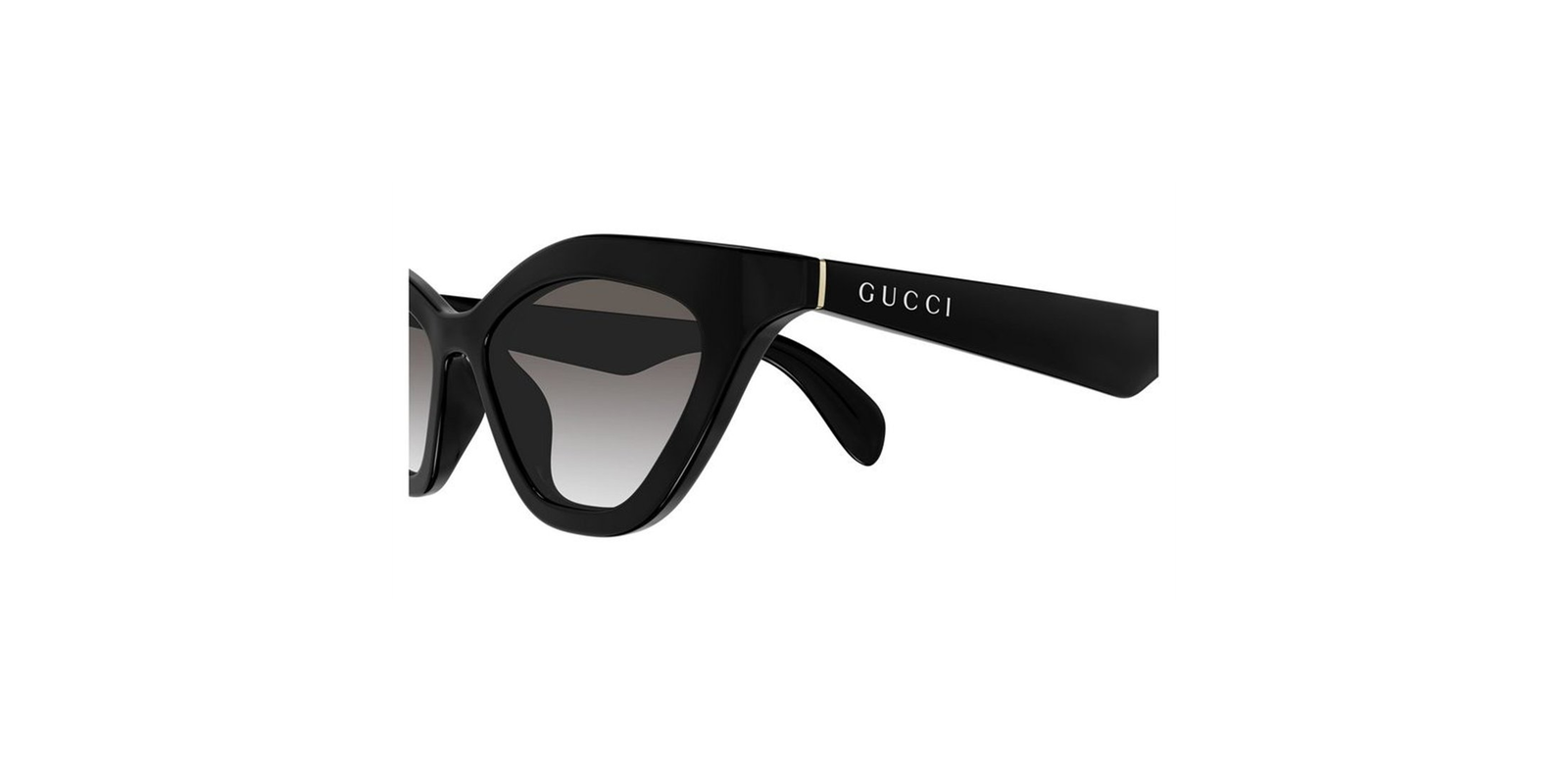 GUCCI GG1931S 001