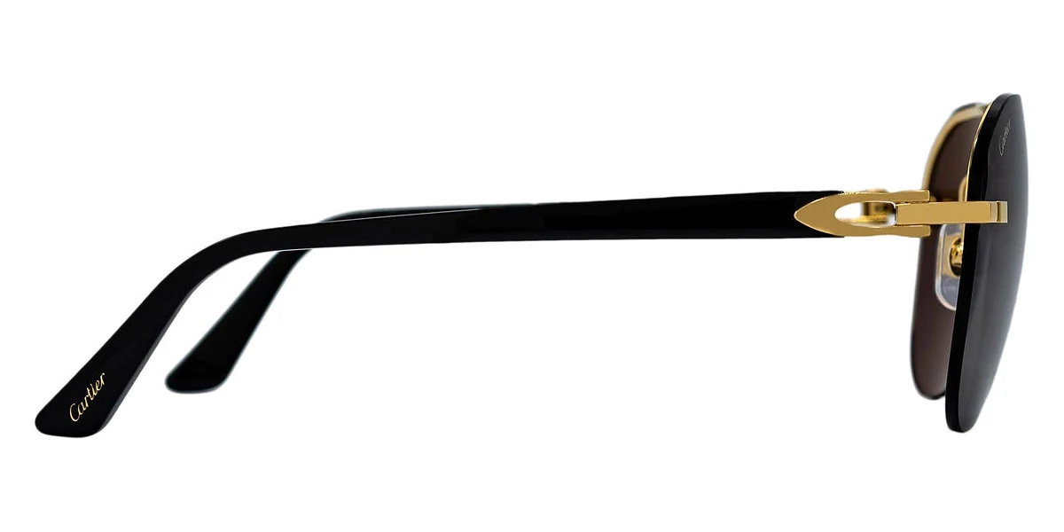CARTIER CT0275S 001  CAT 3