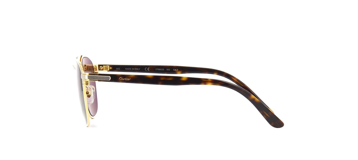 CARTIER CT0012S 002 CAT 3