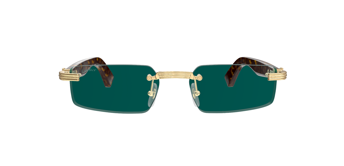 CARTIER CT0537S 002 M CAT 3
