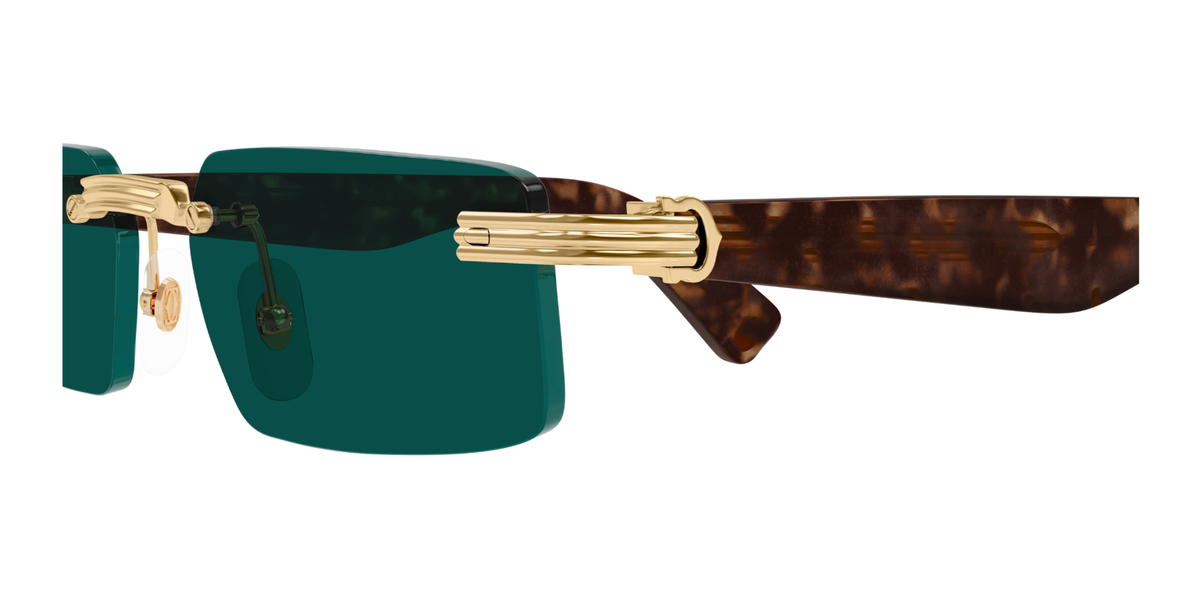 CARTIER CT0537S 002 M CAT 3