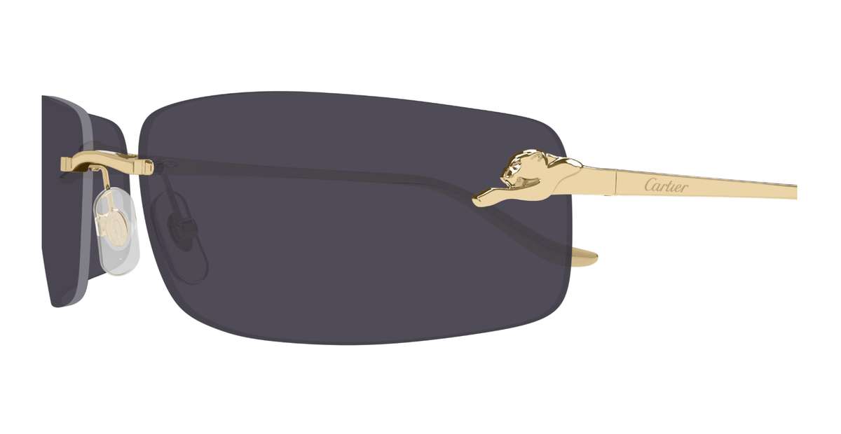 CARTIER CT0503S 001 XL CAT 3