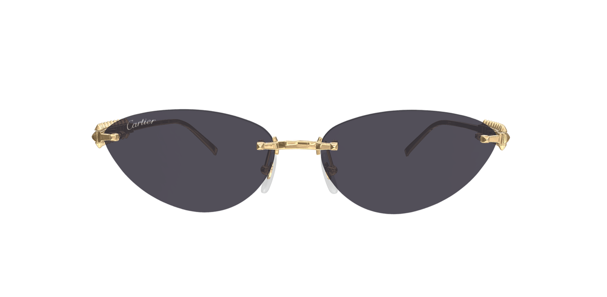 CARTIER CT0543S 002 L CAT 3