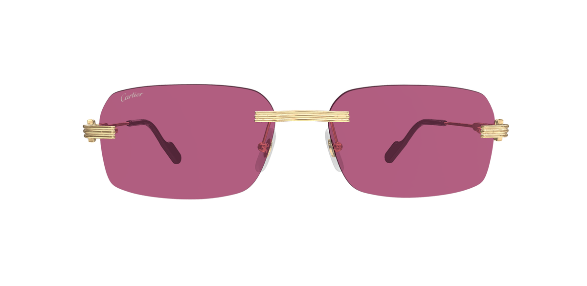 CARTIER CT0271S  010 L CAT 2