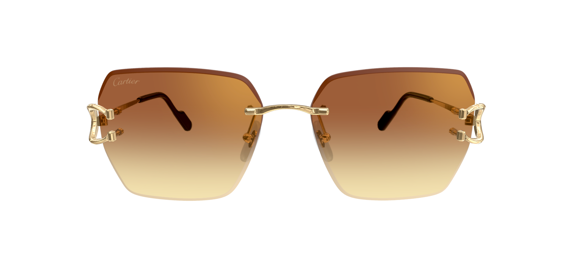 CARTIER CT0466S 004 M CAT 2