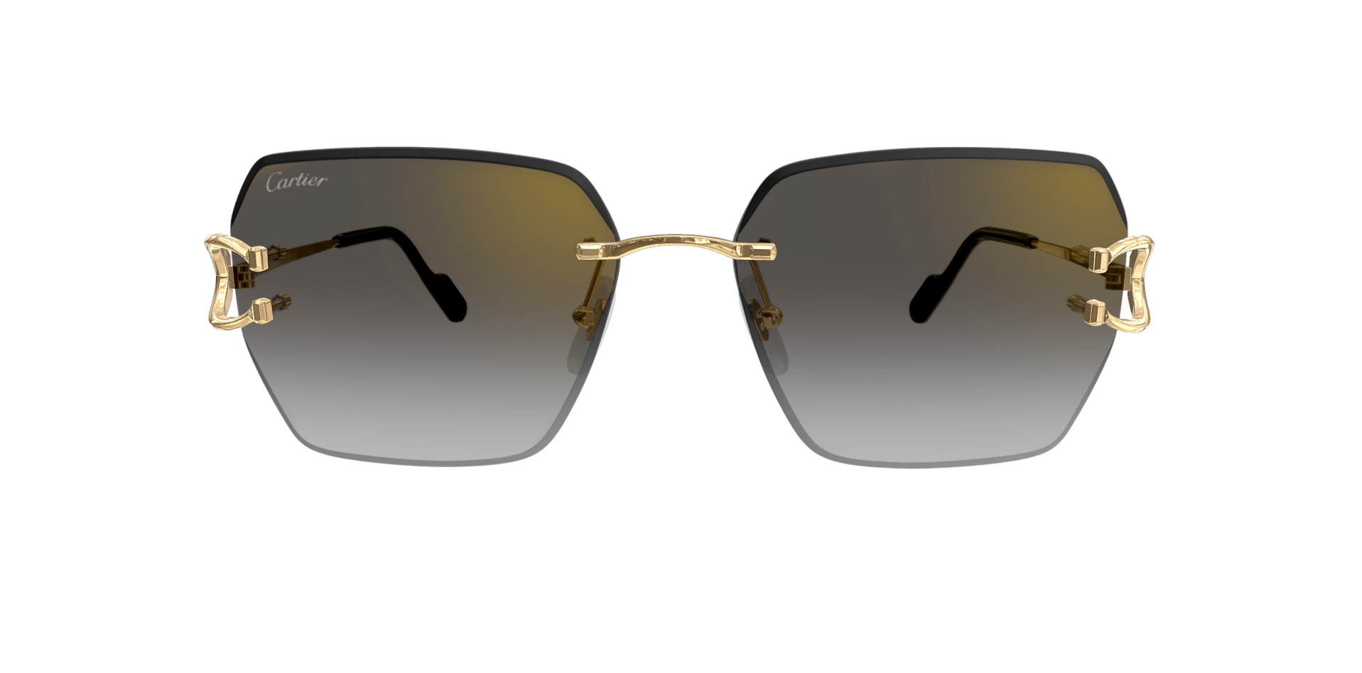 CARTIER CT0466S 001 M CAT 2