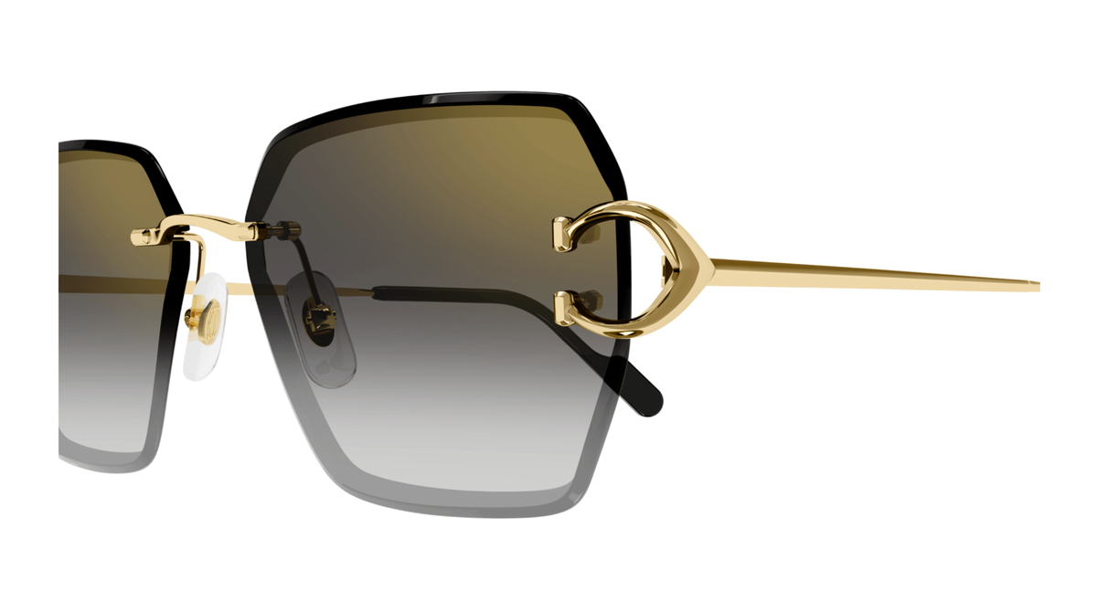 CARTIER CT0466S 001 M CAT 2