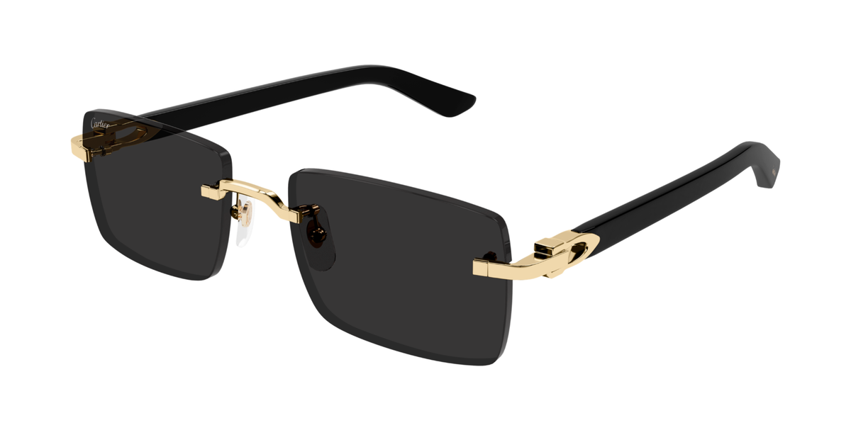 CARTIER CT0579S 001 L CAT 3