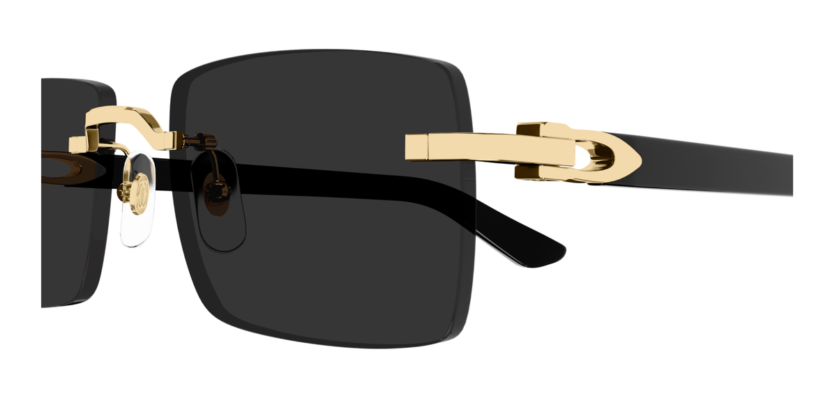 CARTIER CT0579S 001 L CAT 3