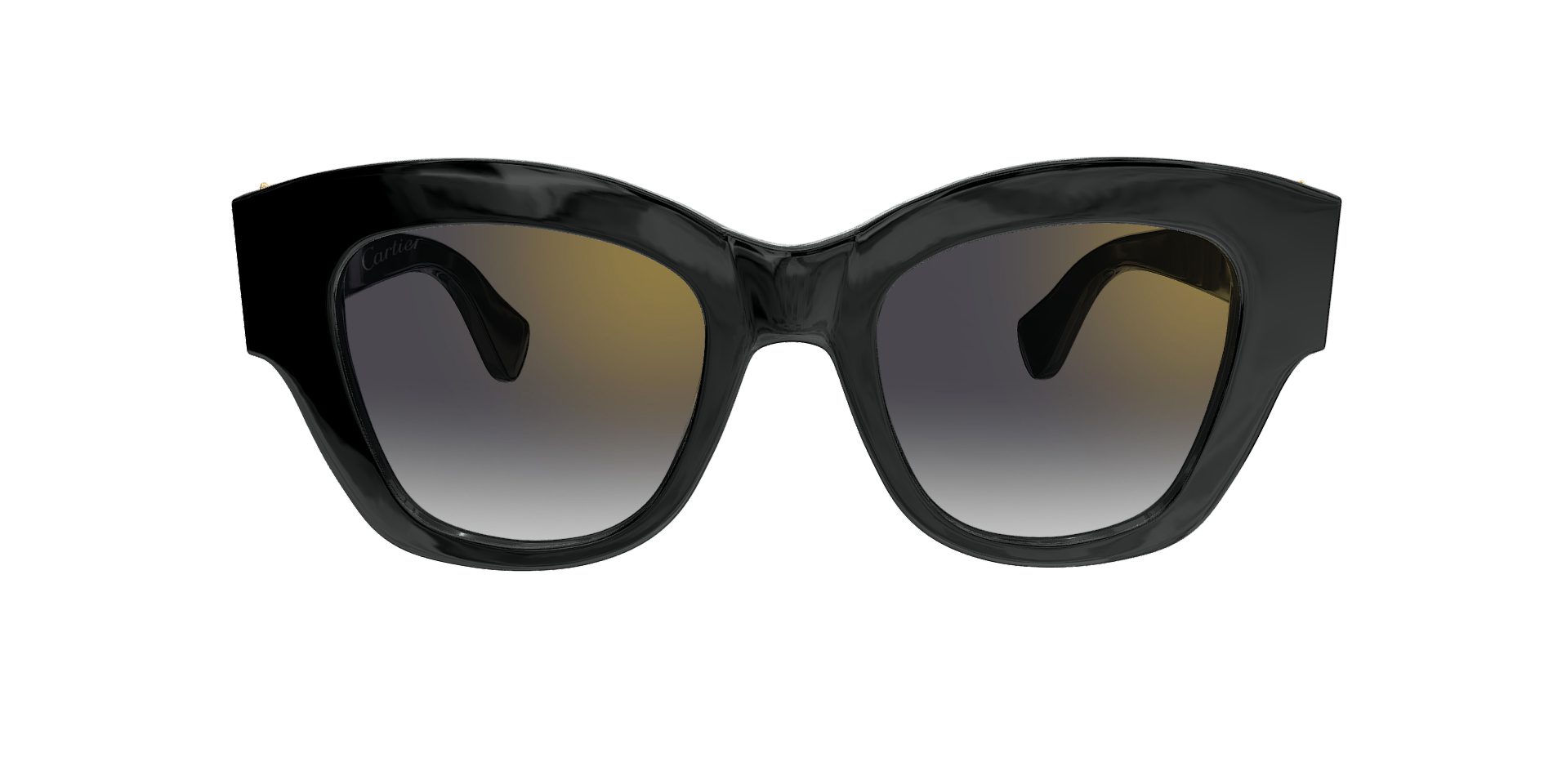 CARTIER CT0547S 001 M CAT 2