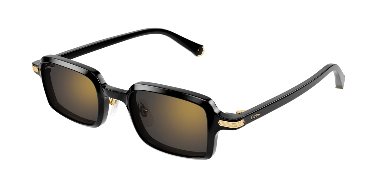 CARTIER CT0539S 001 M CAT 3