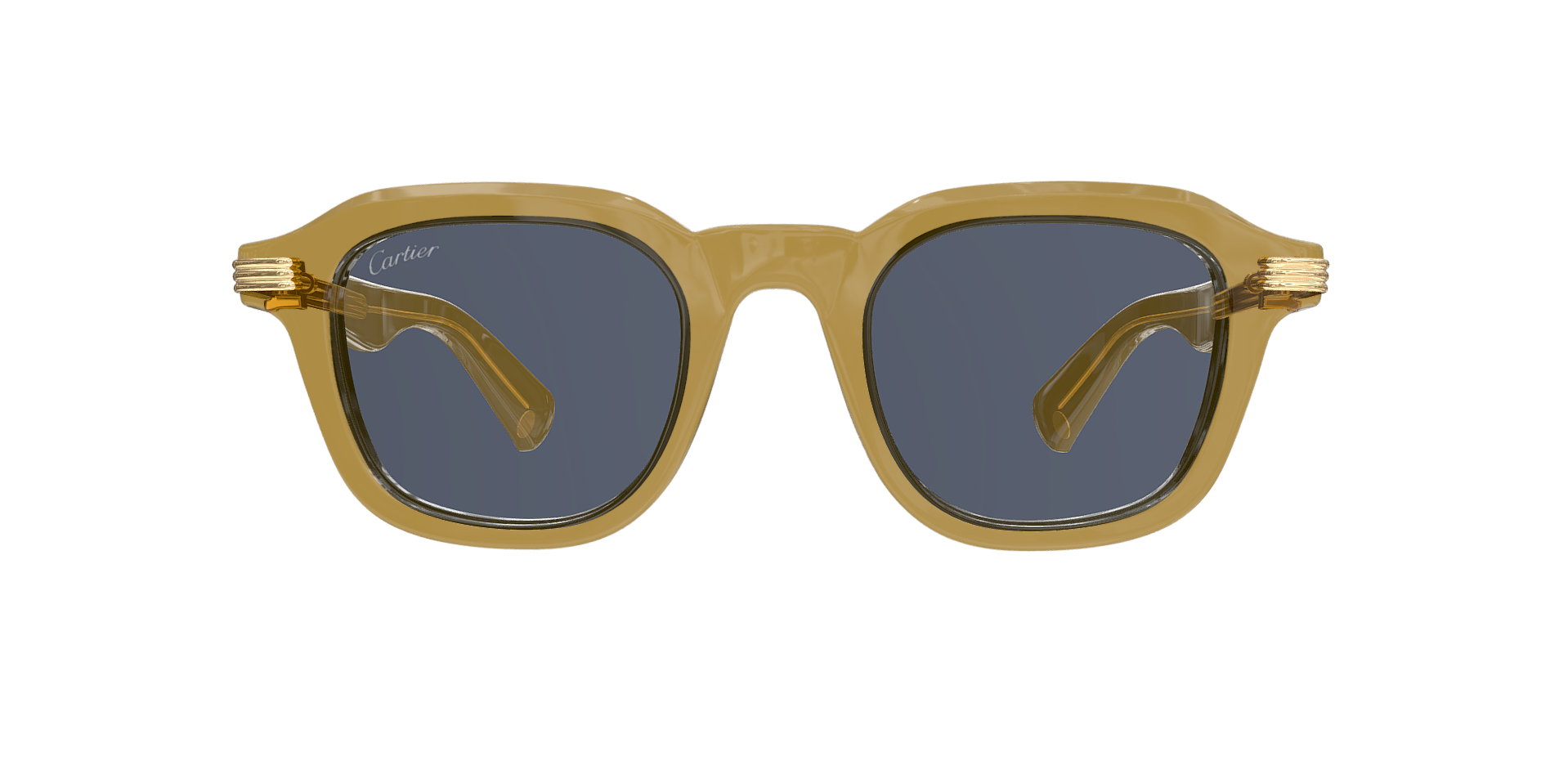 CARTIER CT0536S 005 XL CAT 3