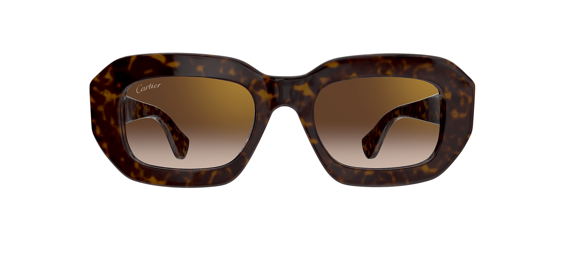 CARTIER CT0546S 002 M CAT 2