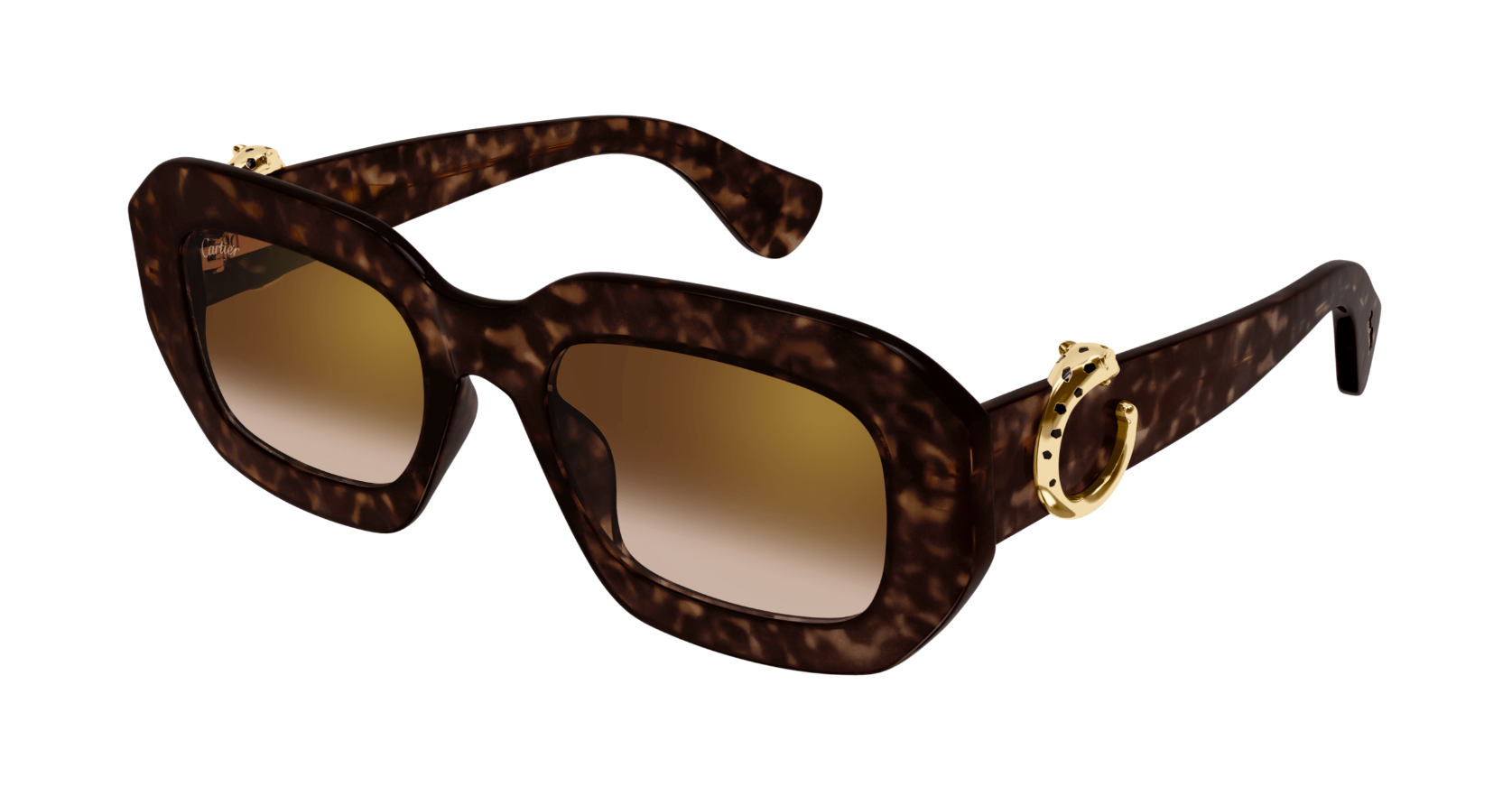 CARTIER CT0546S 002 M CAT 2