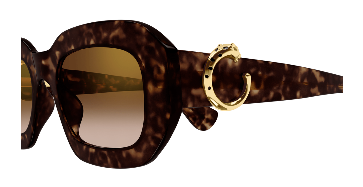 CARTIER CT0546S 002 M CAT 2